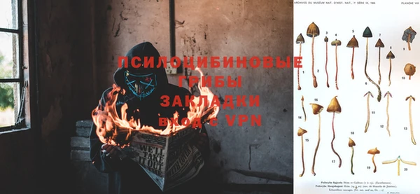 кокаин премиум Алексеевка